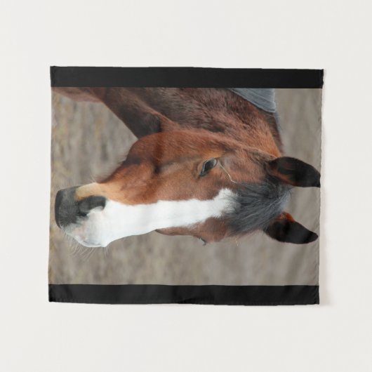 Tenture Joli visage de cheval (Devant (Horizontal))