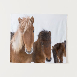 Tenture Jolis chevaux islandais ensemble