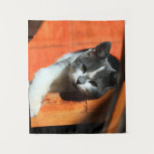 Tenture Kitten (Devant)