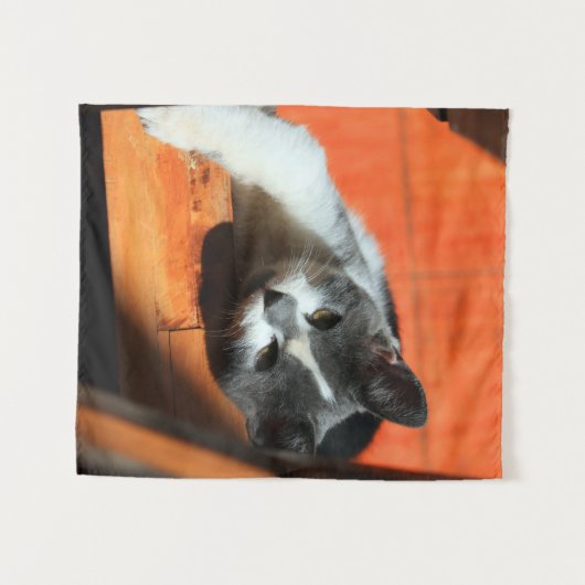 Tenture Kitten (Devant (Horizontal))