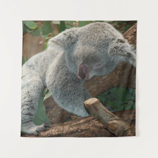 Tenture Koala (Devant)