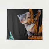 Tenture Koala Cute en gris arbre (Devant (Horizontal))
