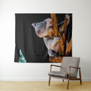 Tenture Koala Cute en gris arbre