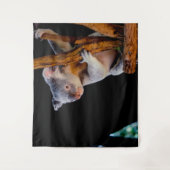 Tenture Koala Cute en gris arbre (Devant)