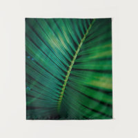La Feuille verte Forêt tropicale Nature Photo