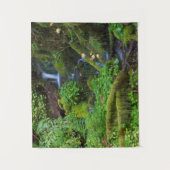 Tenture La forêt tropicale automautomne | Parc national ol (Devant)