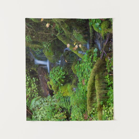 Tenture La forêt tropicale automautomne | Parc national ol (Devant)