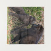 Tenture L'affection de Gorilla Baby pour maman (Devant (Horizontal))