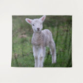 Tenture Lamb Bébé Mouton ferme animal (Devant (Horizontal))