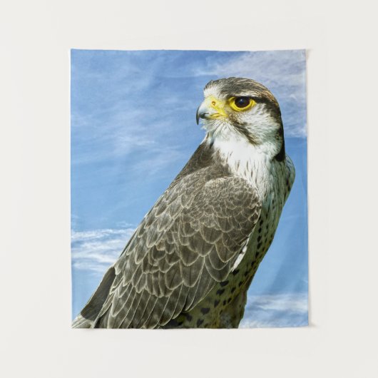 Tenture Lanner Falcon perché (Devant)