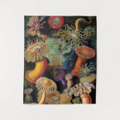 Tenture l'art de la nature par Ernst Haeckel (Devant)