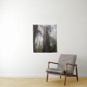 Tenture Le parc national de Redwood Californie (En situation)