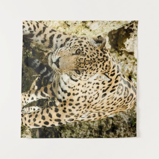 Tenture Leopard (Devant (Horizontal))