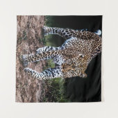 TENTURE LEOPARD MARCHANT DANS LA SAUVAGE (Devant (Horizontal))