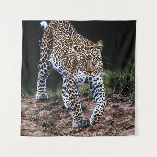 TENTURE LEOPARD MARCHANT DANS LA SAUVAGE (Devant)
