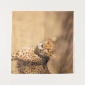 TENTURE LEOPARD PORTRAIT (Devant (Horizontal))