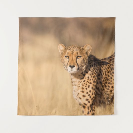 TENTURE LEOPARD PORTRAIT (Devant)