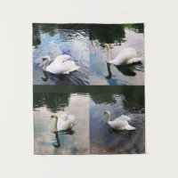 LES MAJESTUELLES CANVAS DE SWAN