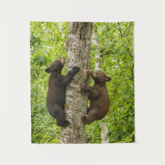Tenture Les oursons noirs grimpent à l'arbre (Devant)