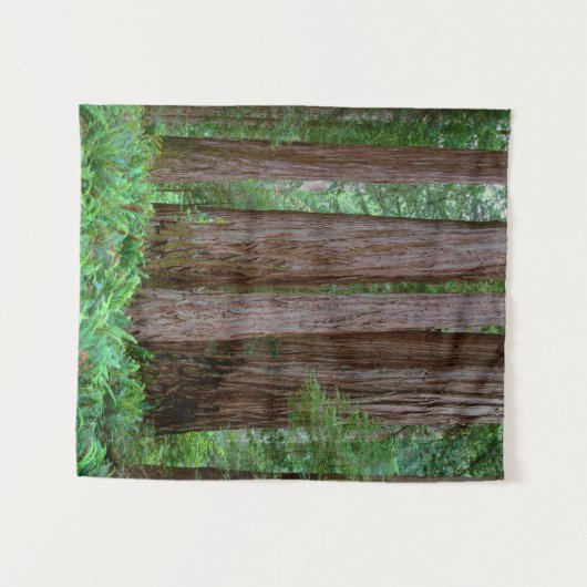 Tenture Les séquoias antiques (Devant (Horizontal))