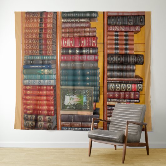 Tenture librairie librairie librairie (En situation (horizontale))