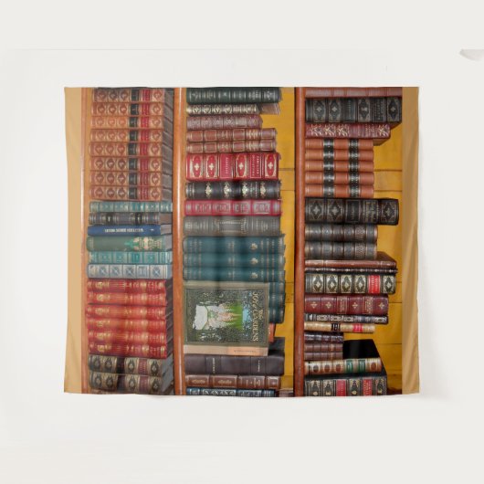 Tenture librairie librairie librairie (Devant (Horizontal))