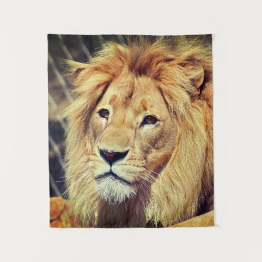 Tenture Lion (Devant)