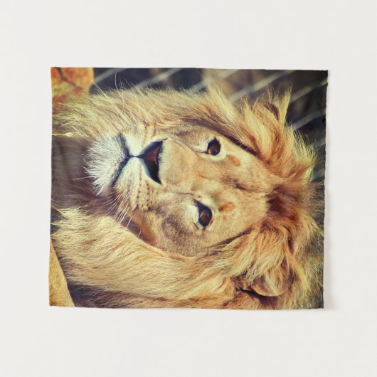 Tenture Lion (Devant (Horizontal))