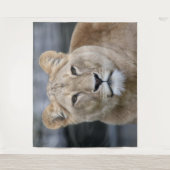 Tenture Lion 004 (Devant)