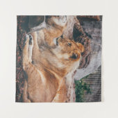 TENTURE LION ET LIONESS MENANT SUR LA SURFACE BROWN (Devant (Horizontal))