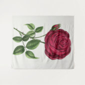 Tenture Lithographie de rose antique, François-Frédéric Gr (Devant (Horizontal))