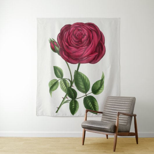 Tenture Lithographie de rose antique, François-Frédéric Gr (En situation)