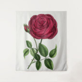 Tenture Lithographie de rose antique, François-Frédéric Gr (Devant)