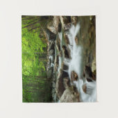 Tenture Little Pigeon River à Greenbrier (Devant)