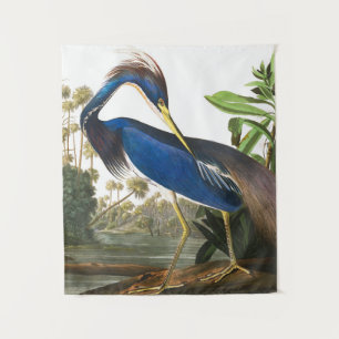 Tenture Louisiana Heron par John James Audubon