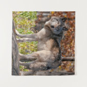 Tenture Loup de bois de l'Est (Devant (Horizontal))