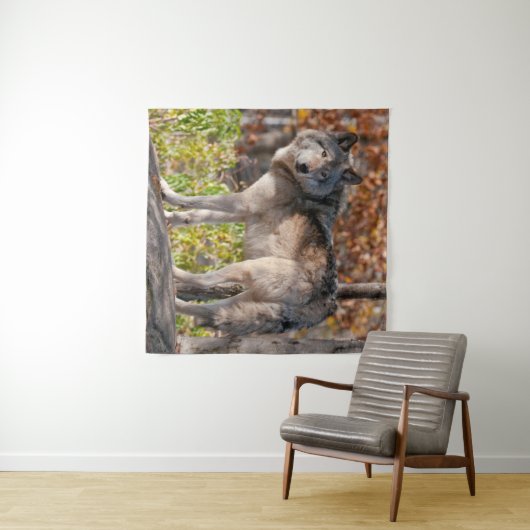 Tenture Loup de bois de l'Est  (En situation (horizontale))