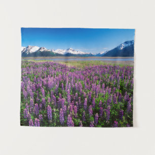 Tenture Lupines en fleur Kenai Mountains, Alaska