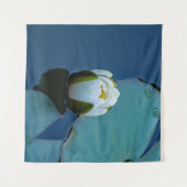 Tenture Lys d'eau blanche dans l'étang, photographie de la (Devant (Horizontal))