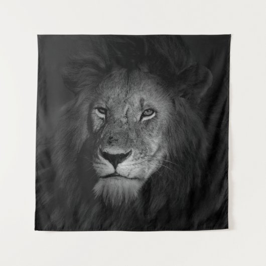 TENTURE MÂLE LION (Devant)
