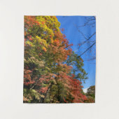 Tenture Maples colorées vives (Devant)