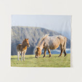 Tenture Mare avec Foal, îles Shetland, Ecosse (Devant (Horizontal))