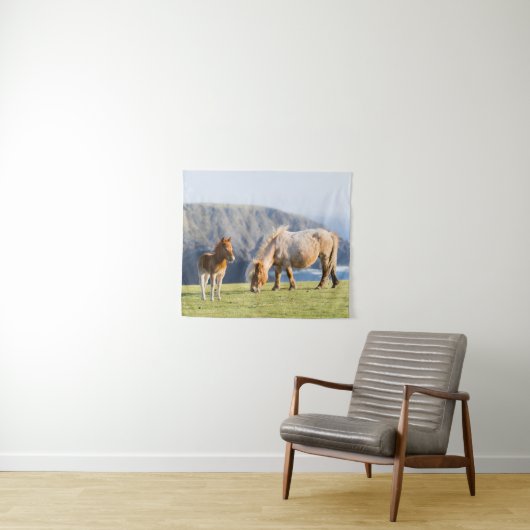 Tenture Mare avec Foal, îles Shetland, Ecosse (En situation (horizontale))