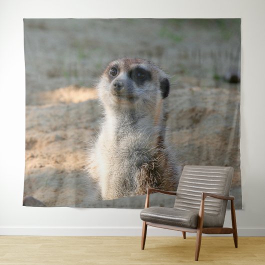 Tenture Meerkat 004 (En situation (horizontale))