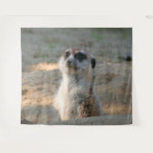 Tenture Meerkat 004 (Devant (Horizontal))