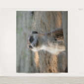Tenture Meerkat 004 (Devant)