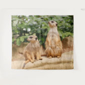 Tenture Meerkat 009 (Devant (Horizontal))