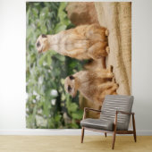 Tenture Meerkat 009 (En situation)