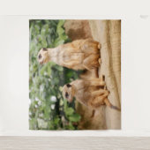 Tenture Meerkat 009 (Devant)