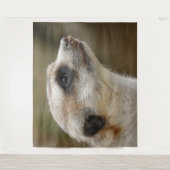 Tenture Meerkat 028 (Devant)